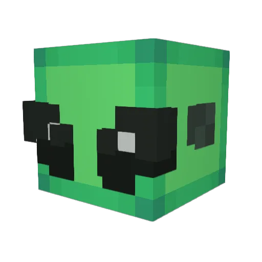 SnakyNC Minecraft avatar head, 3D render