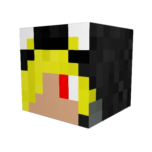 SnakyNinja Minecraft avatar head, 3D render