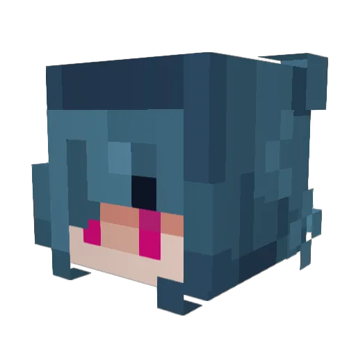 Snakyshark Minecraft avatar head, 3D render