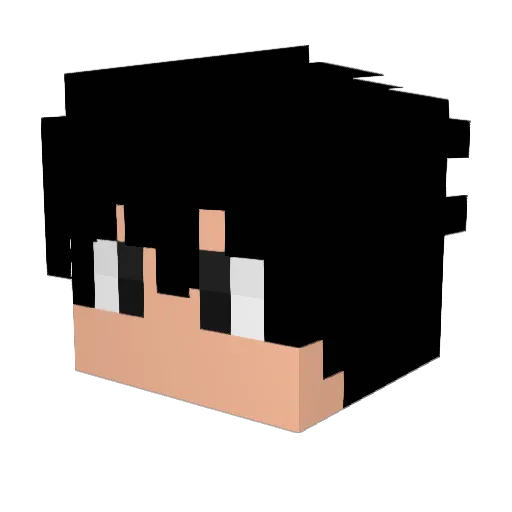 Snanik_ Minecraft avatar head, 3D render