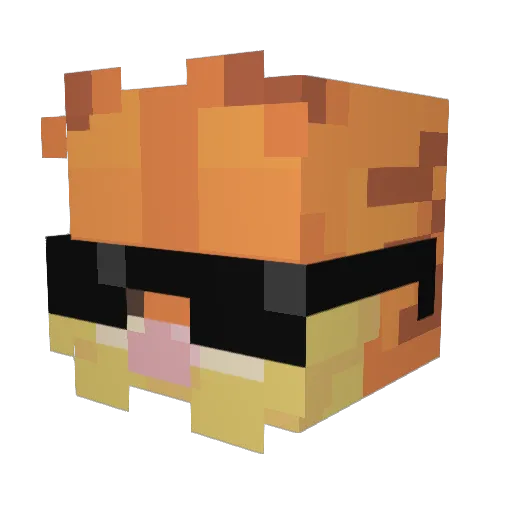 SnapTurtle07 Minecraft avatar head, 3D render
