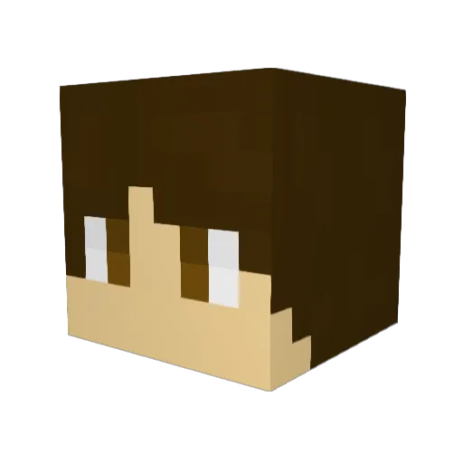 SnapUrPoloRoids Minecraft avatar head, 3D render