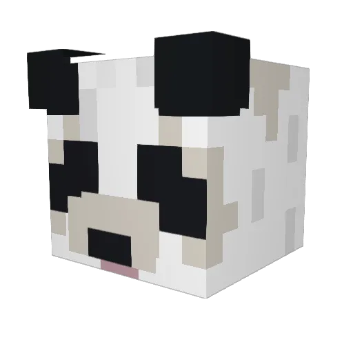 Snapers Minecraft avatar head, 3D render