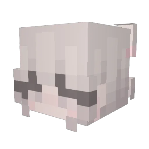 Snapp1 Minecraft avatar head, 3D render