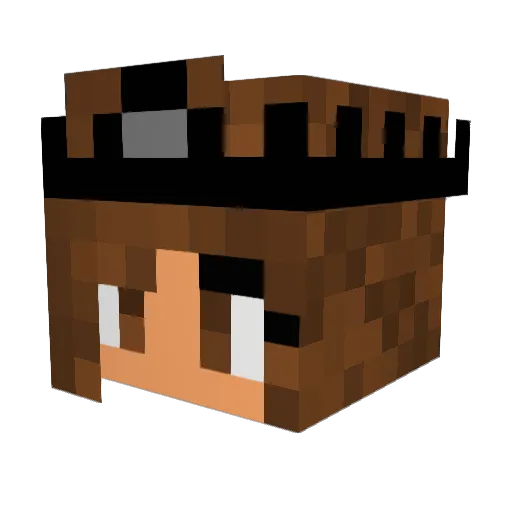 SnappedJaguar Minecraft avatar head, 3D render