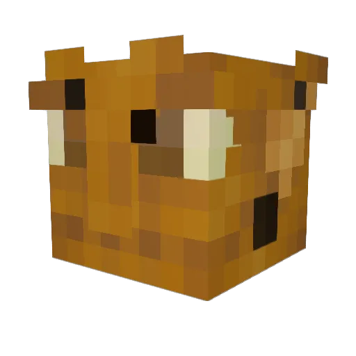 SnappleMango Minecraft avatar head, 3D render
