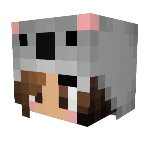 Snapple_Wapple12 Minecraft avatar head, 3D render
