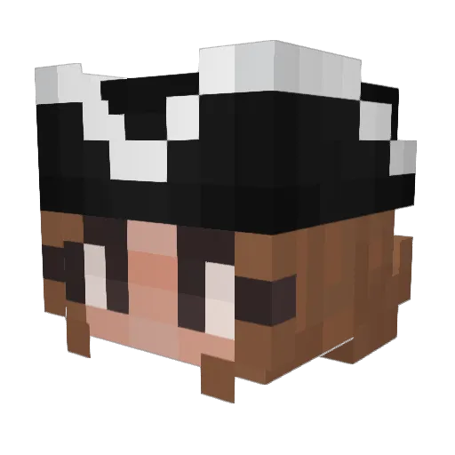 Snapplegamer265 Minecraft avatar head, 3D render