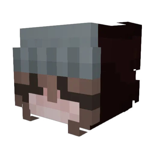 Snappnap Minecraft avatar head, 3D render