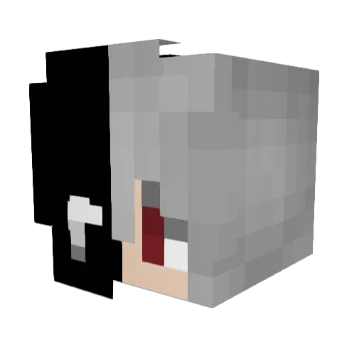 SnappyDragon2645 Minecraft avatar head, 3D render