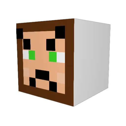 SnappyNico10 Minecraft avatar head, 3D render