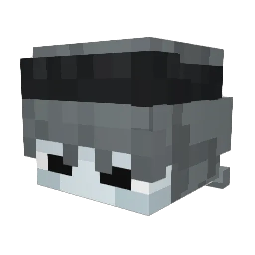 SnappyToez Minecraft avatar head, 3D render