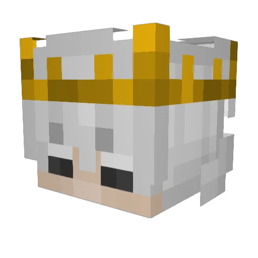 Snaps_Shia Minecraft avatar head, 3D render