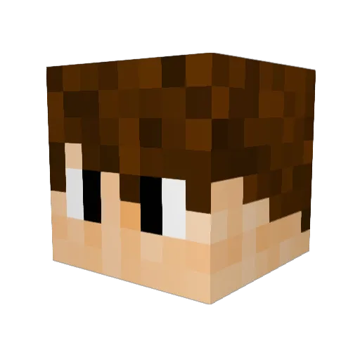 Snaq_ Minecraft avatar head, 3D render