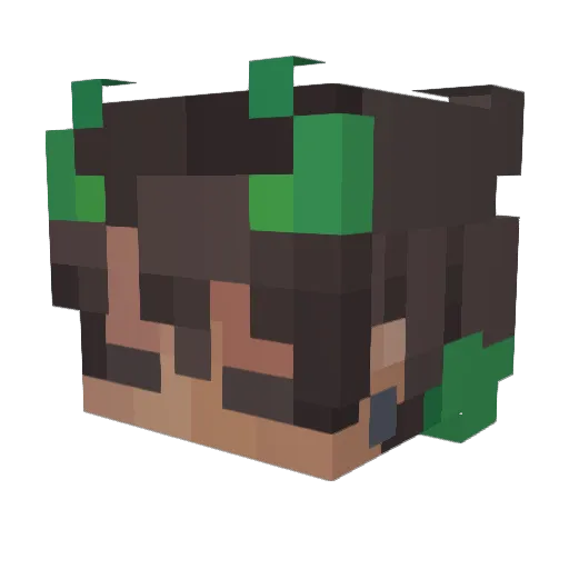 SnarlyPlot Minecraft avatar head, 3D render