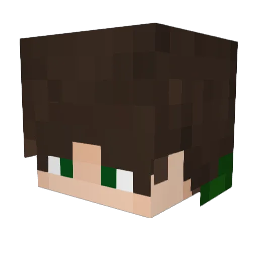Snaskin Minecraft avatar head, 3D render