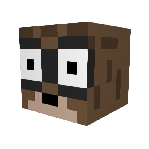 SnateCV Minecraft avatar head, 3D render