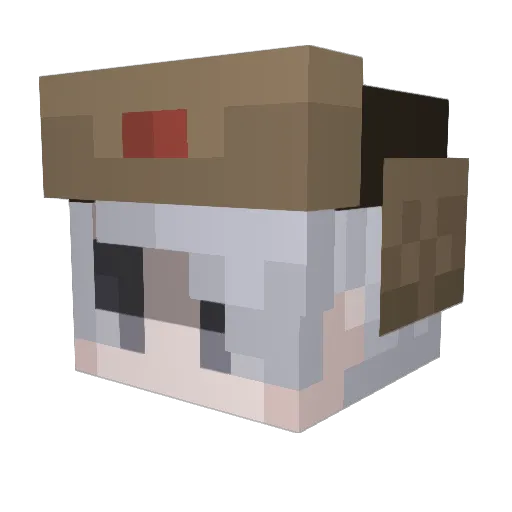 Snaypov Minecraft avatar head, 3D render