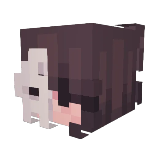 SnazzyBongo9778 Minecraft avatar head, 3D render