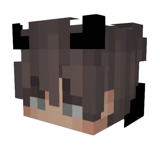 Sncd_mix Minecraft avatar head, 3D render