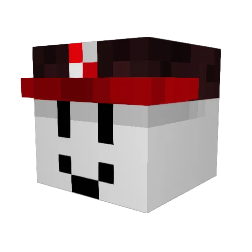 Sncy2010 Minecraft avatar head, 3D render