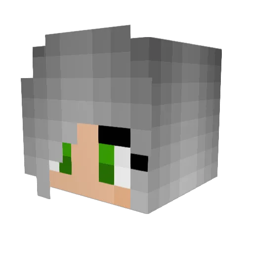 Sne3ps Minecraft avatar head, 3D render