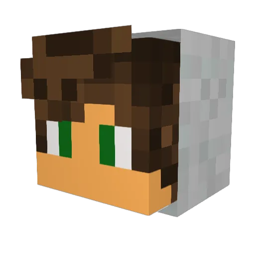 SneRa2804 Minecraft avatar head, 3D render