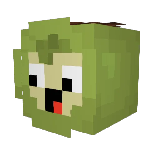 SneakAttack666 Minecraft avatar head, 3D render