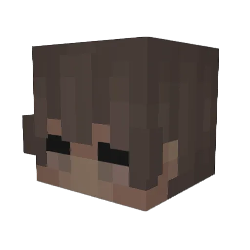 Sneakerheadss Minecraft avatar head, 3D render