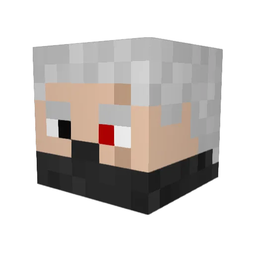 Sneakerslinger Minecraft avatar head, 3D render