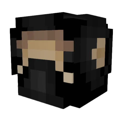 SneakingFish878 Minecraft avatar head, 3D render