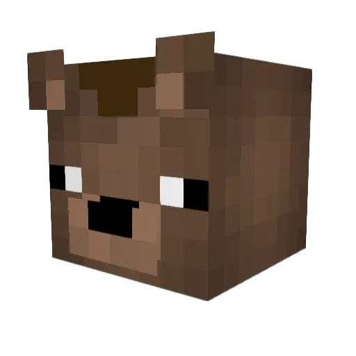 SneakyBear89 Minecraft avatar head, 3D render