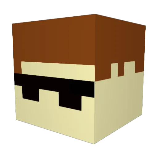 SneakyNinja147 Minecraft avatar head, 3D render