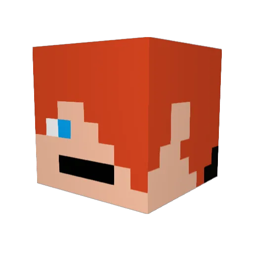 SneakyNinja20 Minecraft avatar head, 3D render