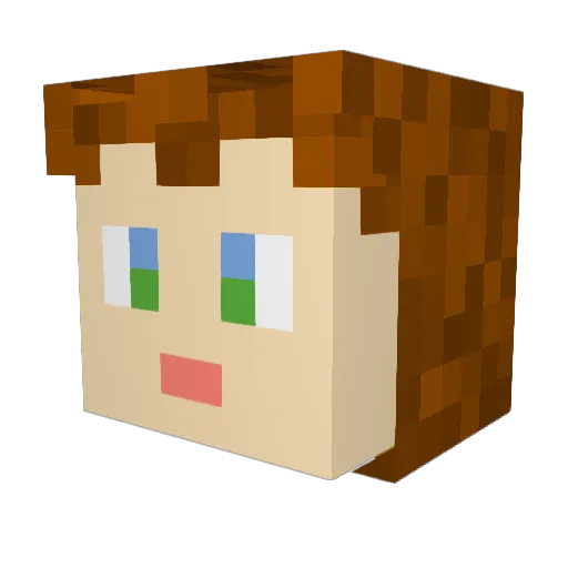 SneakyTurtle1326 Minecraft avatar head, 3D render