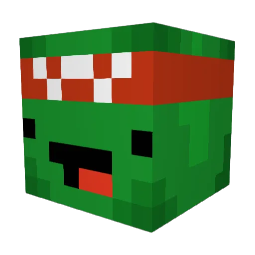 SneakyTurtle421 Minecraft avatar head, 3D render