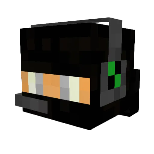 Sneaky_Ninja415 Minecraft avatar head, 3D render