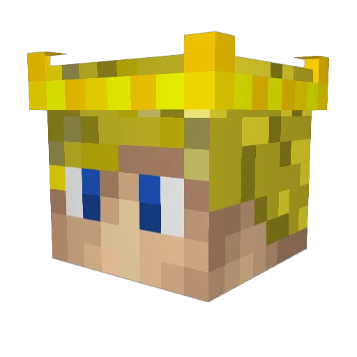 Sneaky_Snake1430 Minecraft avatar head, 3D render