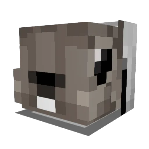 Sneaky_Squirel Minecraft avatar head, 3D render