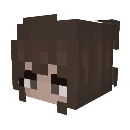Sneap Minecraft avatar head, 3D render
