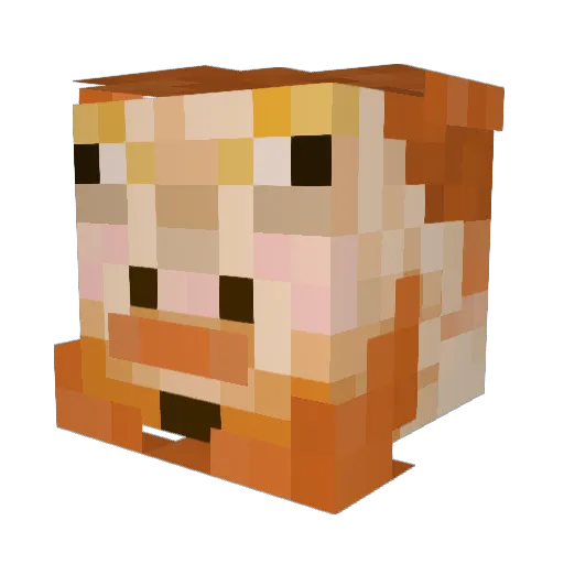 Sneasybrch Minecraft avatar head, 3D render