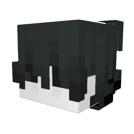 Sneax093 Minecraft avatar head, 3D render