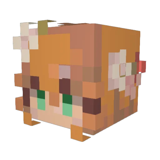 Sneefx Minecraft avatar head, 3D render