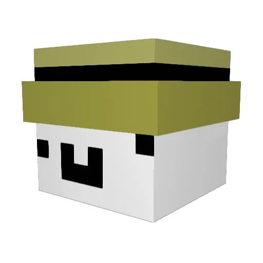 Sneeky_Turtle Minecraft avatar head, 3D render