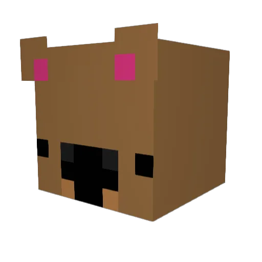 Sneelsunn_ Minecraft avatar head, 3D render