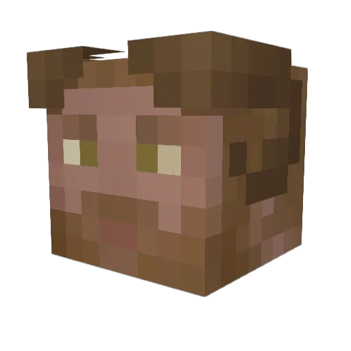 Sneezewood Minecraft avatar head, 3D render