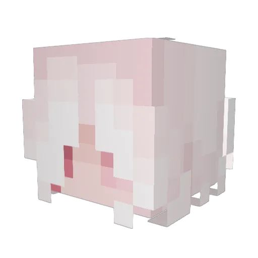SneezyDwarf9237 Minecraft avatar head, 3D render