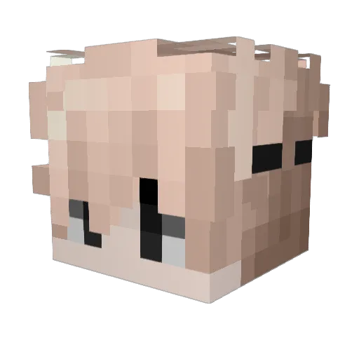 Sneizy Minecraft avatar head, 3D render