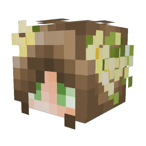 Snek5 Minecraft avatar head, 3D render