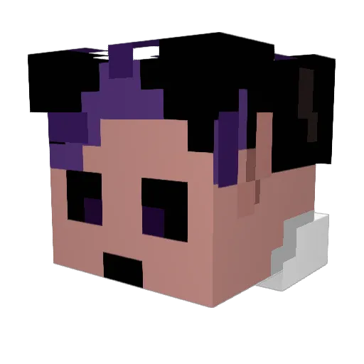 Snek_06 Minecraft avatar head, 3D render